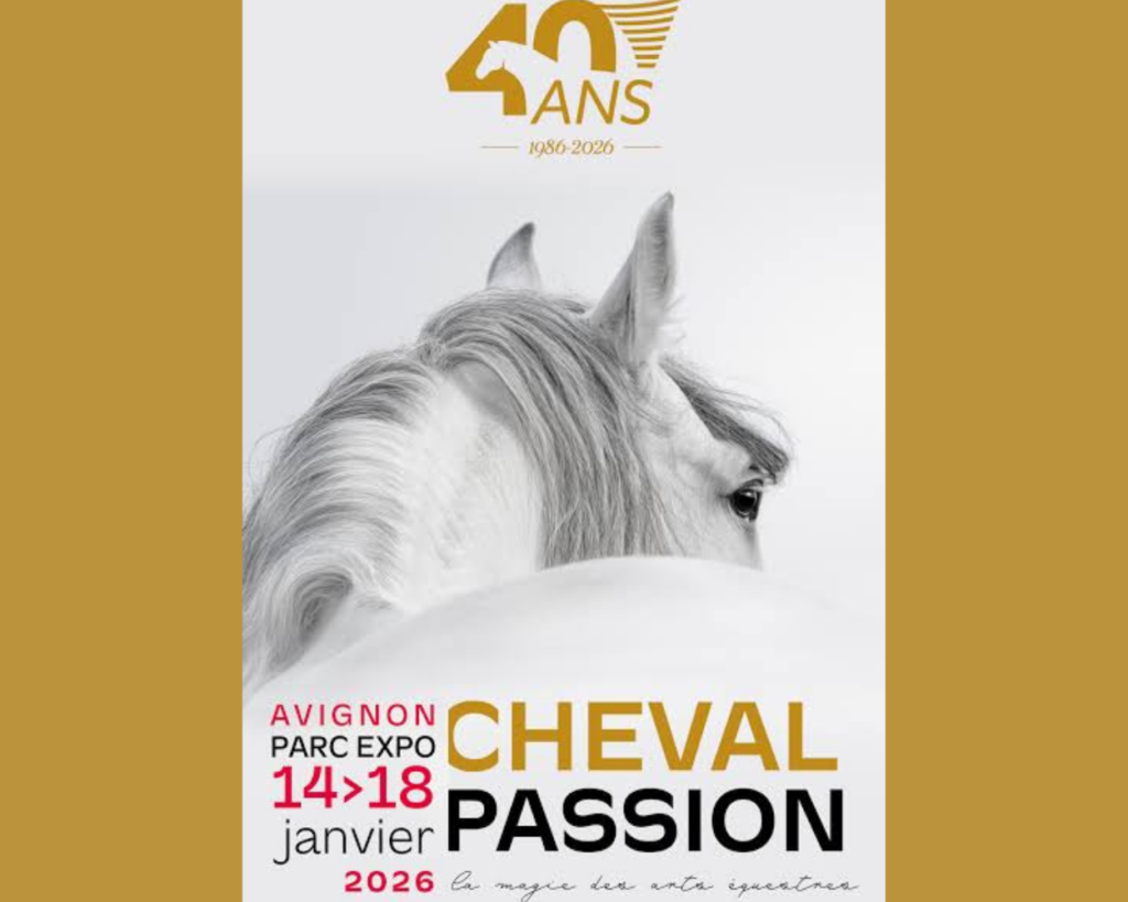 Cheval Passion 2027 - chambre d'hôte Avignon