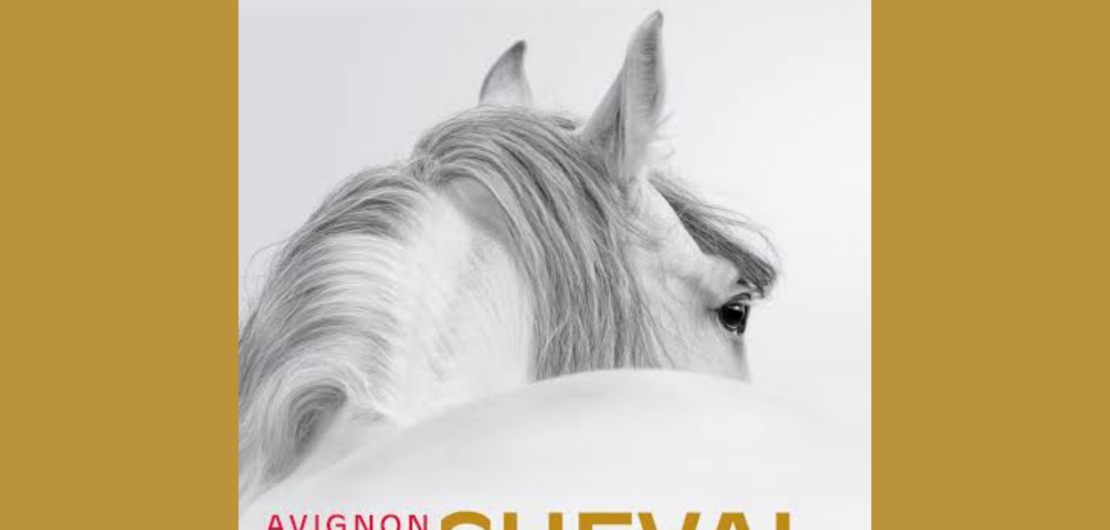 Cheval Passion 2027 - chambre d'hôte Avignon
