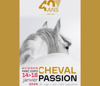 Cheval Passion 2027 - chambre d'hôte Avignon
